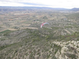 Pena Rubia