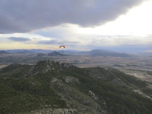 Pena Rubia