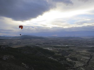 Pena Rubia