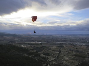 Pena Rubia