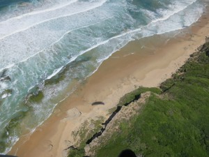 IMG_5328     